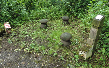 Fairy Garden