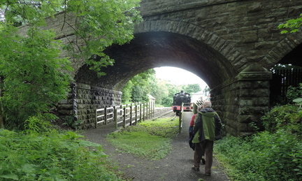Under the bridge