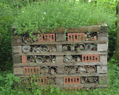 Insect Hotel