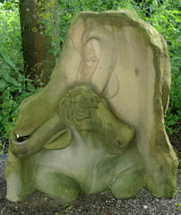 Auroch
