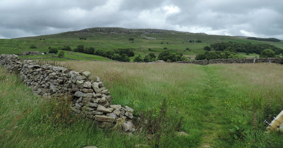 Field