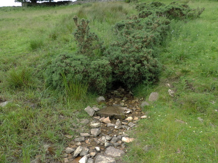 Stream