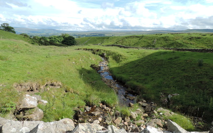 Stream