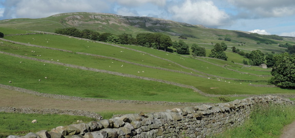 Ridge