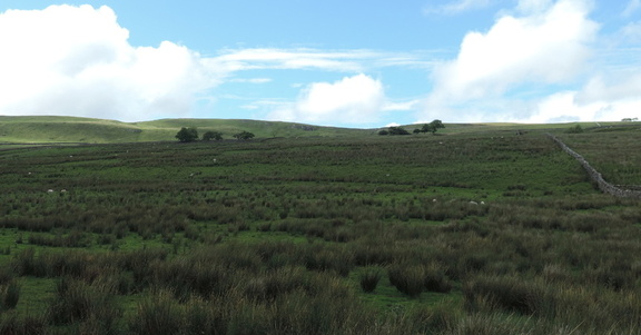 Moors