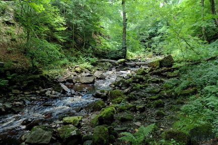 Stream