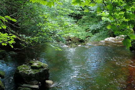 Over the falls