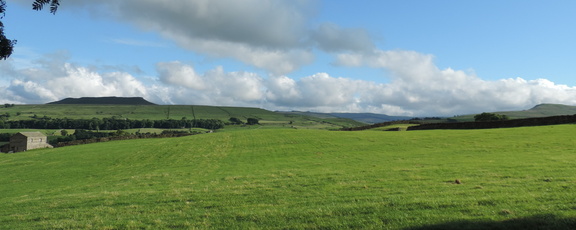 Across the fields
