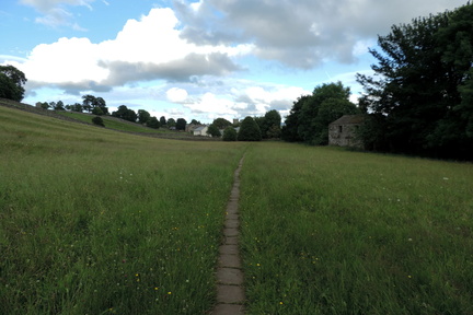 Meadow