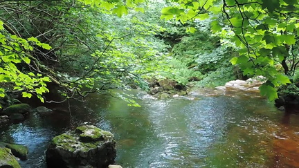 Over the falls