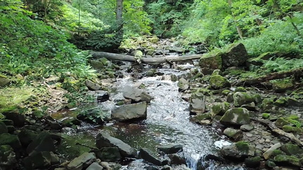 Stream