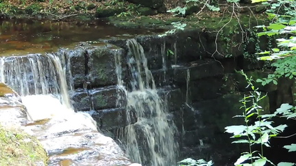 Falls