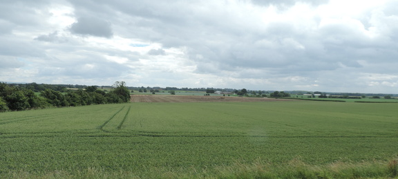 Fields