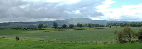 Ridge