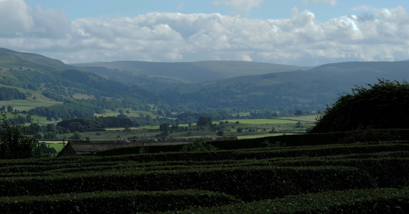 Across the gardens