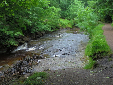 Stream