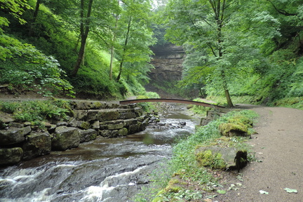 Along the stream