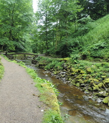 Along the stream