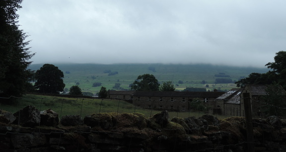 Misty landscape