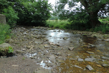 Stream
