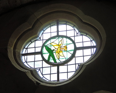 Daffodil