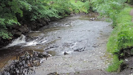 Stream