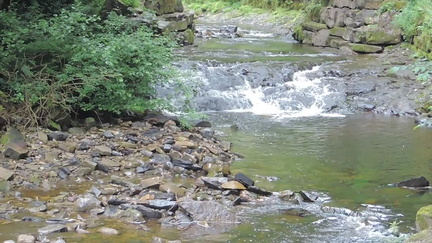 Rapids