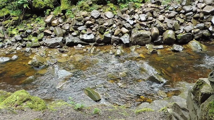 Stream