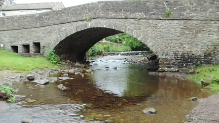 Under the bridge