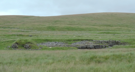 Rocks