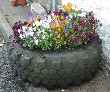 Flowers in a tyre