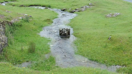 Stream