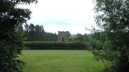 Through the trees