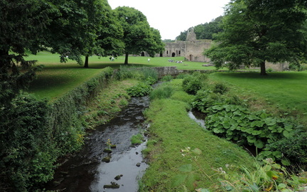 Along the Stream