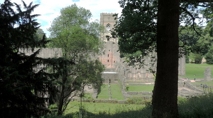 Through the trees