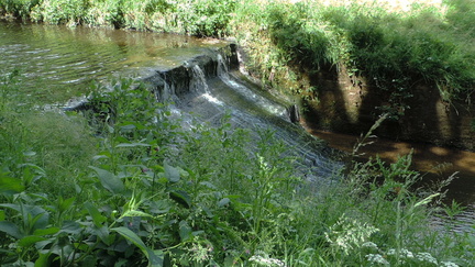 Weir