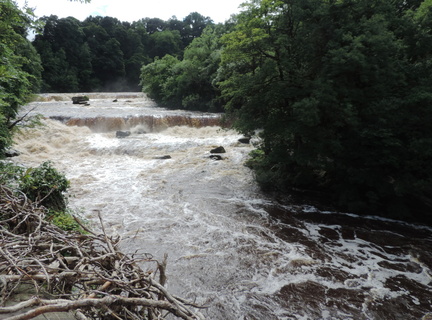 Up the falls