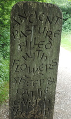 Inscription