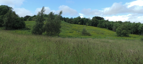 Hillside