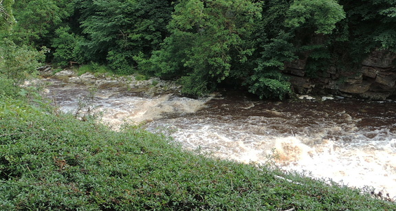 Downstream