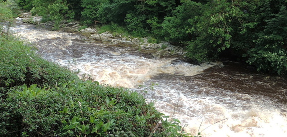 Down the river