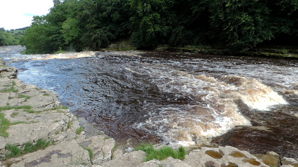 Down the falls