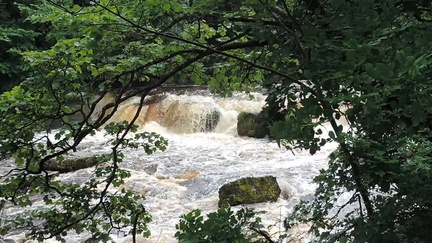 Waterfall