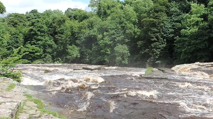 Downstream