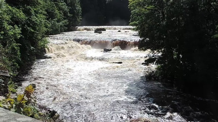 Up the falls