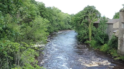Down the river