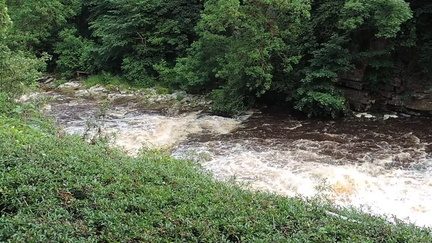 Downstream