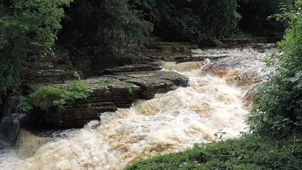 Waterfall