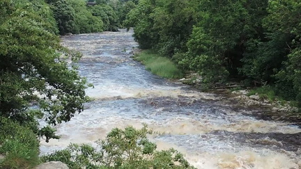 Down the falls