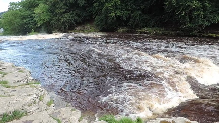 Down the falls